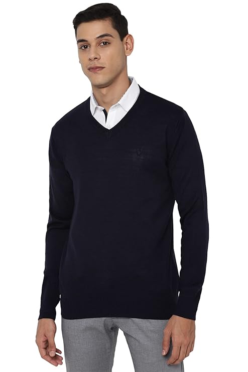 Allen Solly Women Leather V Neck Sweater