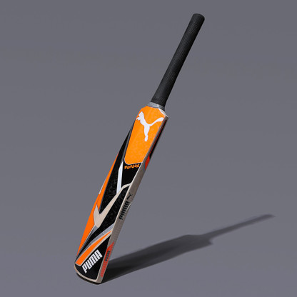 PUMA Future KW JNR 1.2 Kashmir Willow Cricket Bat