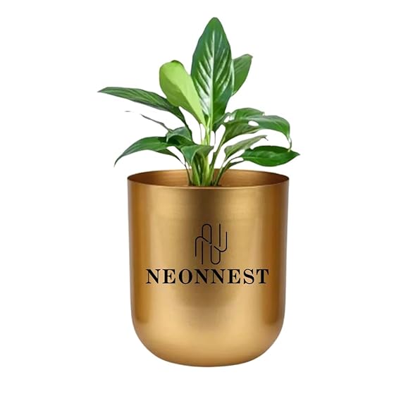 Neonnest 4.3 inches Round Metal Planter for Home Decor, Pack of 1 (Golden) (1)