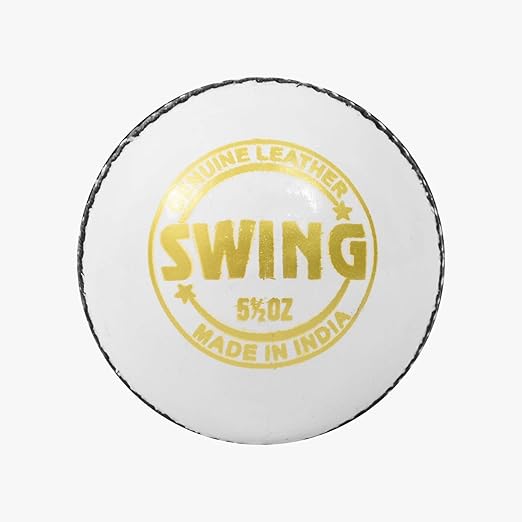 DSC 1500498 Swing Leather Cricket Ball (White)