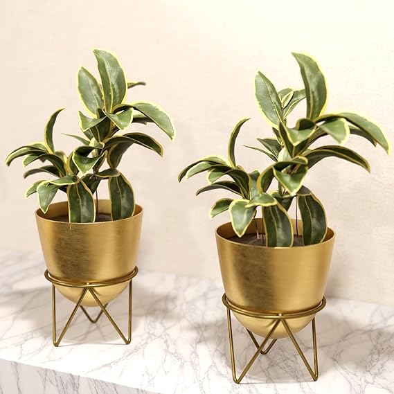 Lifelong Set of 2 Plant Stand for Balcony & Living Room Capacity 10Kg