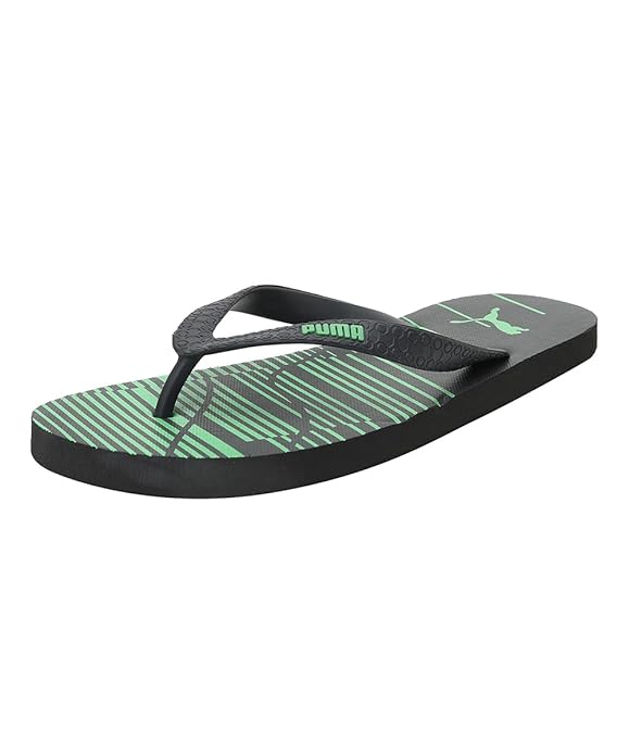 Puma Unisex-Adult Caspian Gu Idp Flip-Flops