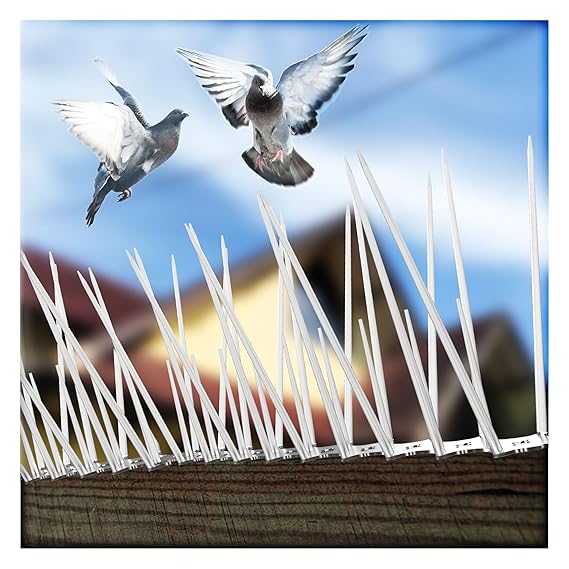 Eightiz (10 Pcs with Zip Ties) New Sharp Bird Pigeon Spikes