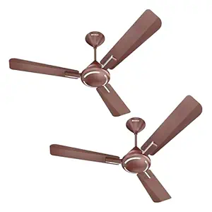 Havells 1200mm Ambrose ES Ceiling Fan | Perfect for Energy Saving