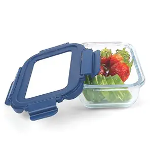 SignoraWare Secure N Store Borosilicate Glass Rectangular Container