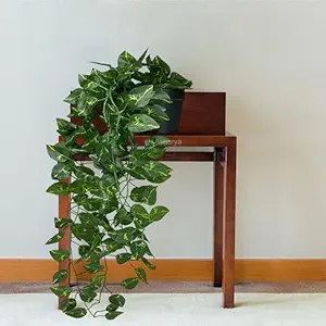 Artificial Money Plant Garland | Indoor Wall Hanging for Home Decor
