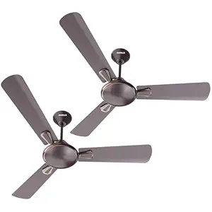 Havells 1200mm Festiva ES Ceiling Fan| Premium Finish|Energy Saving| Designer Fan