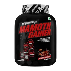 Bigmuscles Nutrition Mamoth Gainer Powder | High Protein Muscle Mass & Weight Gainer