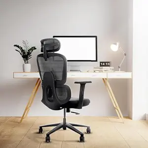 Frido AeroMesh Ergo Chair | Adjustable Armrests & Headrest | Lumbar Support | Breathable Mesh Back Fabric | Customizable Seat Depth & Height | Office Chair for Work & Study |120 kg Capacity | Black