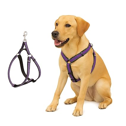 Dog Harness No Pull with Front Clip | Dog Walking Chest Harness with Reflective Adjustable Soft Padded Vest and Easy Control Handle Sizes (Medium, Purple)