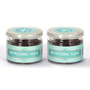 Vedic Air Freshener Use Living Room Office Home Fresheners