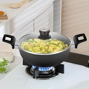 Borosil 2 L (22 cm) Hard Anodized Pan with 5 Year Warranty