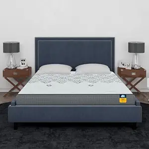 10 Years Warranty | 8-Inch Single Size Ortho Pocketed Zero Partner Disturbance