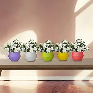 TrustBasket Adam Self Watering Pot (Set of 5)| Window Plant Pot for Home Decor