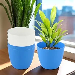 Kuber Industries (Pack of 6) Flower Pot | Plain Cool Plant Stand | Phooldaan for Terrace, Garden (5 Inch) Fuldani for Home Décor | Blue & White